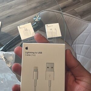 Apple Lightning to USB Cable - Silver and White